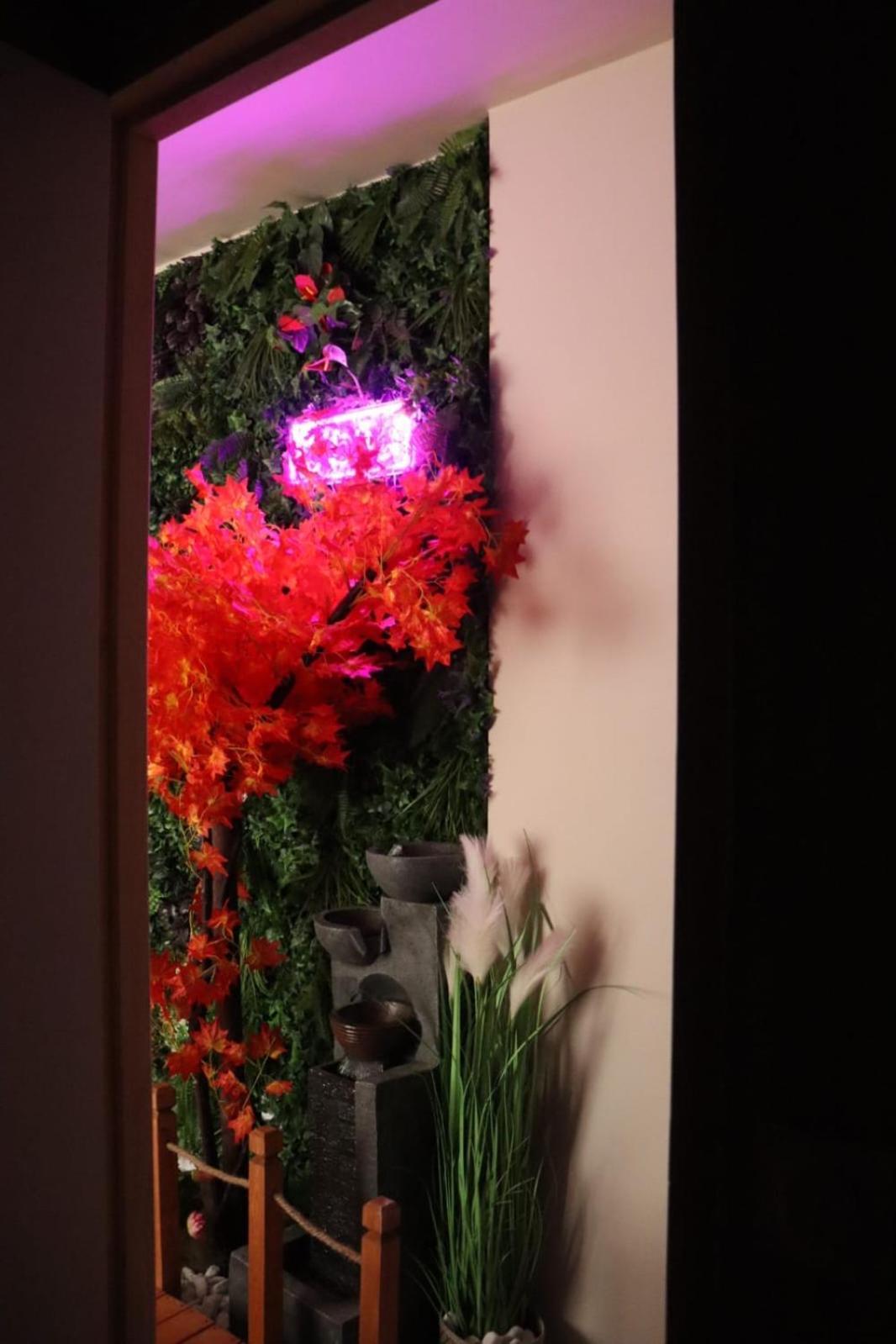 Loveroom Japon Avec Balneotherapie Toulon Exterior photo